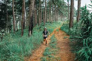 BIB: 
                            <button type="button" onclick="openModal(25688943)" class="btn btn-primary btn-sm float-right btn-popup" data-toggle="modal" data-target=".modal-high-quality">
                        <i class="fas fa-shopping-cart"></i> Add to Cart
                    </button>
                                            <button type="button" onclick="isThisMe(25688943, true)" class="btn btn-success btn-sm float-right btn-popup btn-isme hidden" data-toggle="tooltip" data-placement="bottom" title="นี่คือรูปของคุณใช่ไหม คลิกที่นี่เพื่อเอาเข้าอัลบั้ม">
                        <i class="fas fa-plus"></i> Add to album
                    </button>
                    <button type="button" onclick="isThisMe(25688943, false)" class="btn btn-warning btn-sm float-right btn-popup btn-isnotme hidden">
                        <i class="fas fa-ban"></i> Remove from album
                    </button>